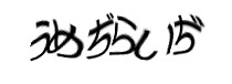 認証画像