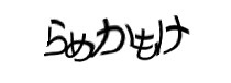 Authentication image
