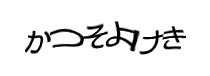 Authentication image