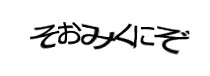 Authentication image